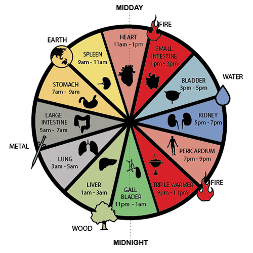 Circadian Rhythm Clock Chart
